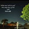 mohamedwaleed36802