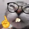 videogiaitrri