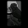 aynaz4737