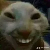 minhfflc3
