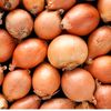 onions1023