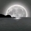 n8422227