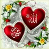 user82699306609507