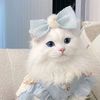 user1316230662816
