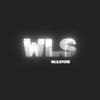 wlsstore44