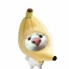 _noenxinhiuu2412_