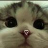 random_songs381