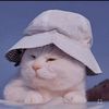 yeni.almaira8