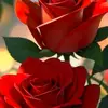 youness.yt18