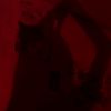 dashecheka_140511