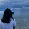 dansie29