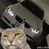 carszzzz911