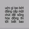 _btran013