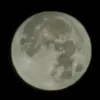 .31367228