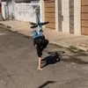 dudu.zxk3