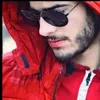 الانيق