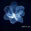 peytishere_12