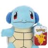squirtle9511
