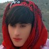 zaeedzankai