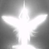 neovibe04
