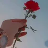 user880ko4