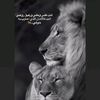 roh7ya