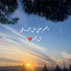 aylanm24