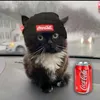 user4470563180013