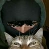 www.live.com49