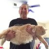 jeffcrowder482