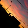 bianca.alegre1