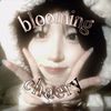 bloomingchaery