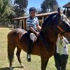 puro.rancho07