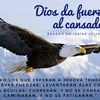 gabrielarauzcoronel