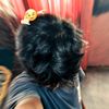 fatansa_prdn