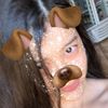 .imstar_1