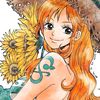 nami13683