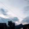 nofizott