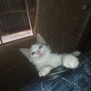 nurul_hotima