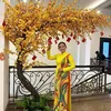 o.di.thanh.phong
