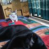 relaxfsdbe4