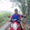 giman295