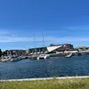 lillbarken72