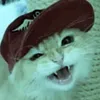 tigers.loves.iban