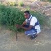user7241521877482