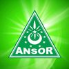 GP ANSOR BANYUPUTIH