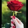 user778486657
