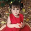 sunny10030611