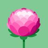 mrs.shameem0