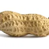 ticklemynuts3